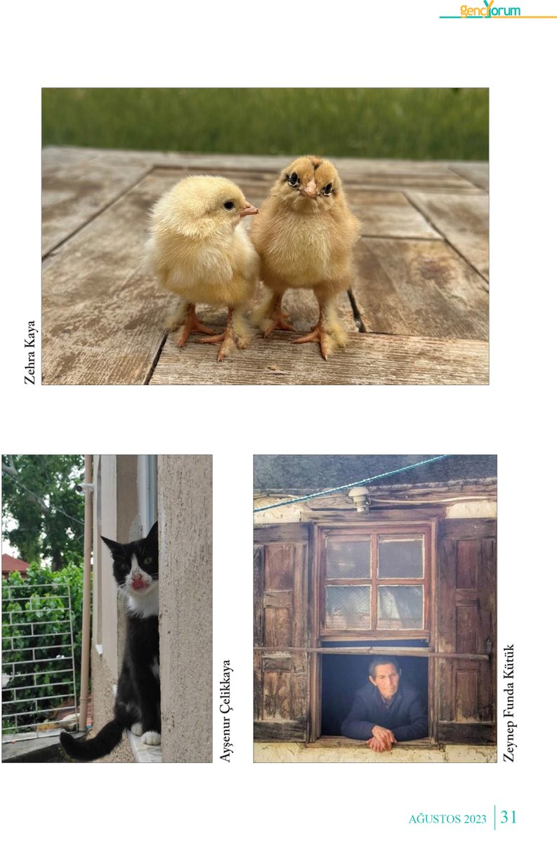 fotoyorum_gy's tweet photo. Merhaba arkadaşlar,  Genç Yorum dergisi Ağustos ayı Fotoyorum sayfası.  Yayınlanmasını istediğiniz fotoğrafları ve görüşlerinizi  fotoyorumgencyorum@gmail.com adresinden iletebilirsiniz.   #fotoyorumgencyorum #fotoğrafçı #photography #görsel #dergi #gençlik #genç #youth #magazine https://t.co/0YUBjdQld4