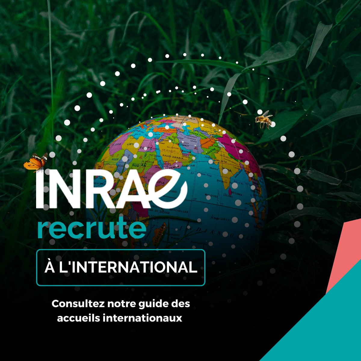 INRAE recrute des scientifiques internationaux toute l’année ! 🌎

◾Découvrez les atouts d’INRAE et nos modalités d’accueil
◾Préparez votre arrivée à INRAE

Toutes les informations ici : 
url.inrae.fr/3LmdyR4

#INRAEIsRecruiting #InternationalRecruitment
