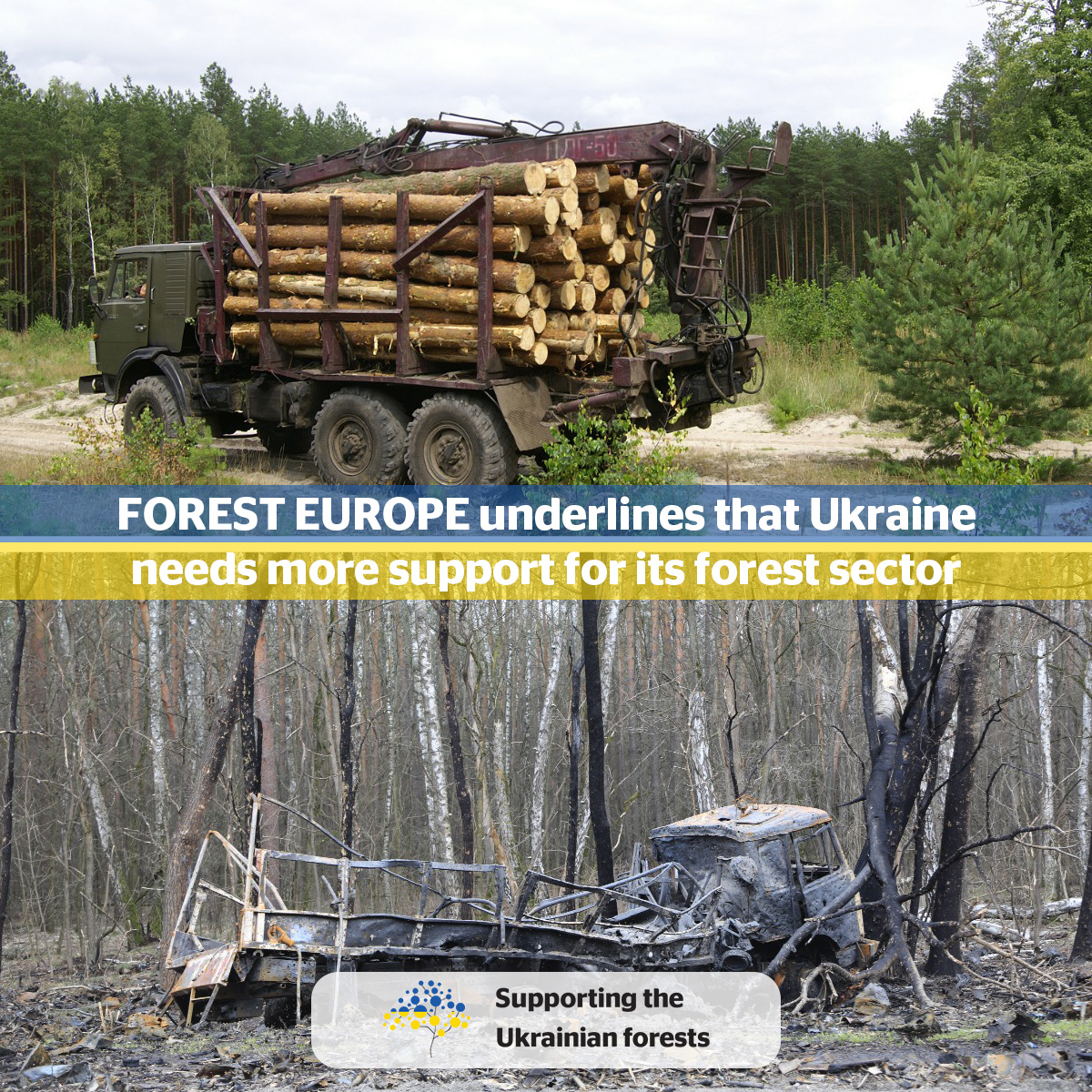 FORESTEUROPE's tweet photo. In our final report on #forests in #Ukraine, we identified a crucial problem: more funding & support are needed for the urgent problems of its #forestsector.
Overcoming this challenge demands substantial time and resources. Check what is needed here 🌳➡️ https://t.co/o6GKMcBcII https://t.co/2JKPYUIDSZ