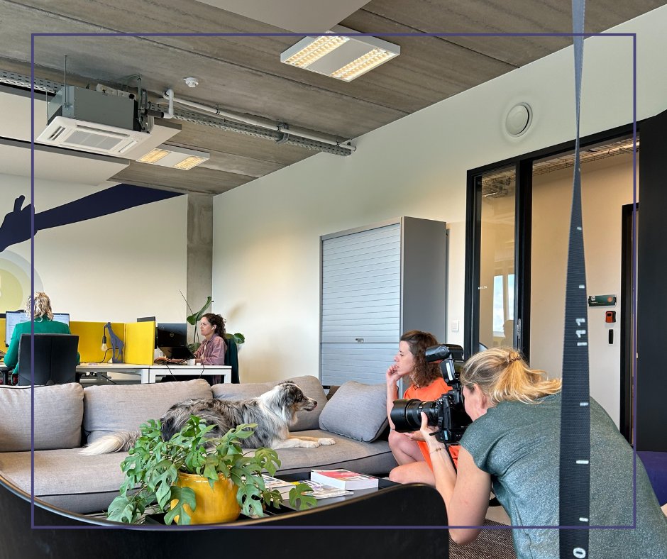 Sneak peek van onze fotoshoot gisteren! Onze kantoorhond weet hoe hij moet poseren voor de camera! 🐾
Er komen veel leuke dingen aan, inclusief onze nieuwe website dit najaar! #Poolstok #BehindTheScenes #OfficeDog