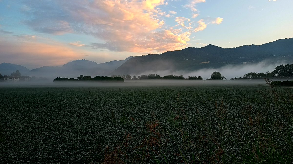luigifoschini's tweet photo. Ghostly landscapes in the early morning run... 🏃‍♂️
#runningtime #iocorroqui #runItaly https://t.co/kQCWcvWE2R