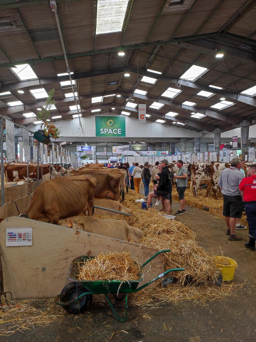 AsteryosGroup's tweet photo. Le #SPACE2023 se referme à #Rennes . 3 jours de rencontres, d'échanges sur l'innovation dans le domaine de l'agriculture et l'élevage pour les équipes du Groupe Asteryos
@SPACERennes #Agriculture #innovation #InnovSpace #Numérique @AsteryosGroup https://t.co/CxNC4PgycW