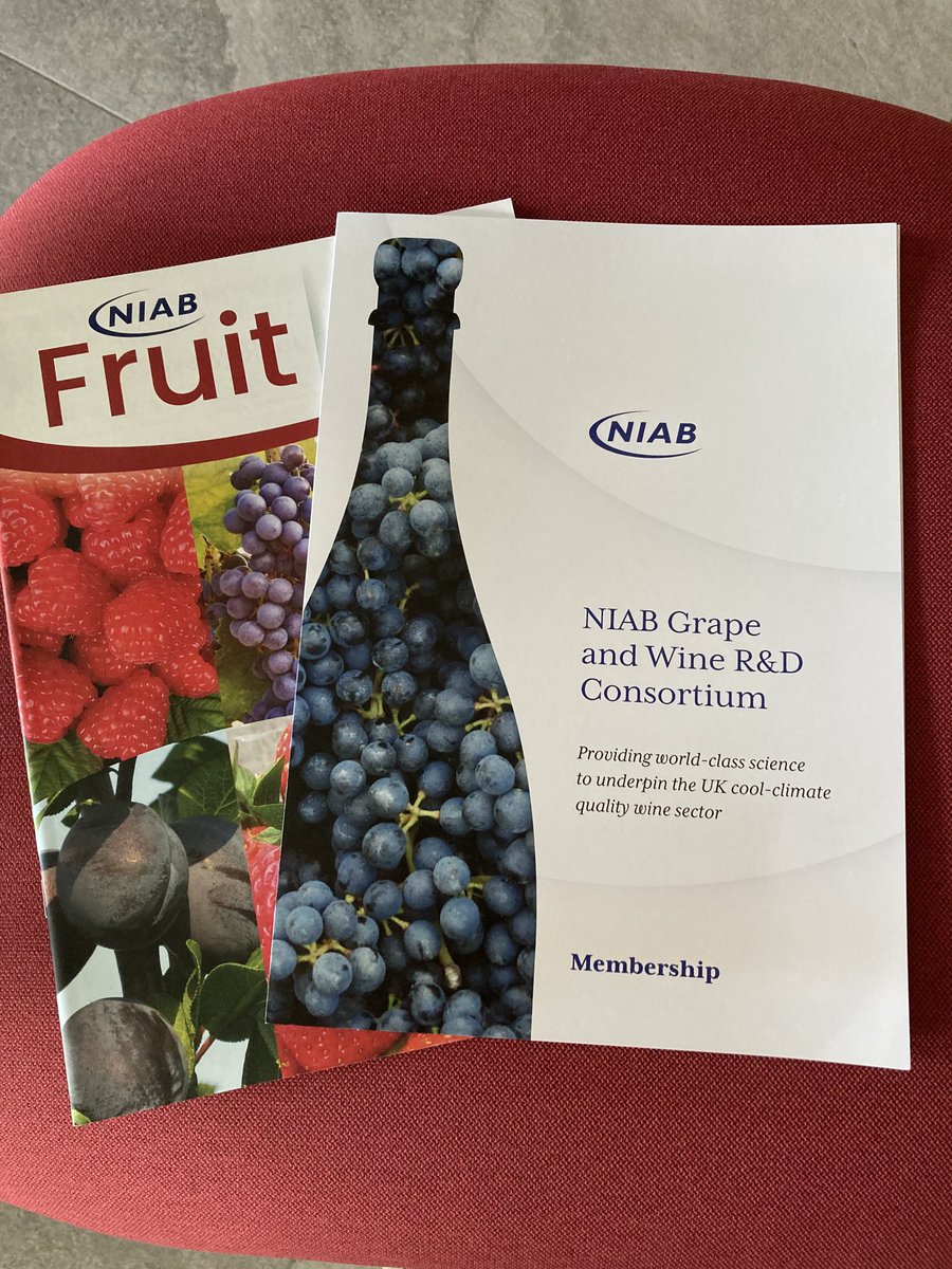 It’s a lovely morning for the ⁦<a href="/niabgroup/">Niab</a>⁩ Vine &amp; Wine Discovery Day led by our expert ⁦<a href="/BKPinot/">Belinda Kemp PhD</a>⁩