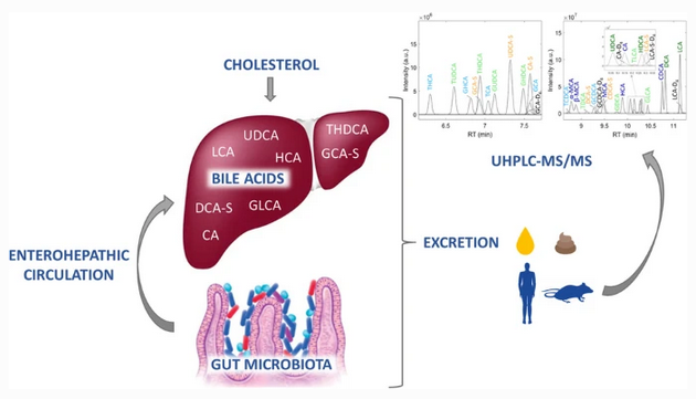 Fast profiling of primary, secondary, conjugated, and #sulfated #bile acids in human #urine and murine feces samples
by Julia Kuligowski et al <a href="/IISLaFe/">IIS La Fe</a> <a href="/HospitalLaFe/">HospitalLaFe</a> <a href="/iata_csic/">IATA CSIC</a> <a href="/CSIC/">CSIC</a> <a href="/SanRaffaeleMI/">Ospedale San Raffaele</a> <a href="/Leitat/">Leitat</a> <a href="/AgendaLeitat/">Agenda Leitat</a> <a href="/j_kuligowski/">Julia Kuligowski</a> #microbiota

link.springer.com/article/10.100…