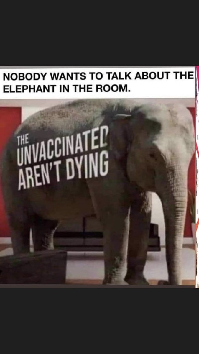 Dr David Cartland BMedSci MBChB MRCGP (2014) (@cartlanddavid) on Twitter photo 