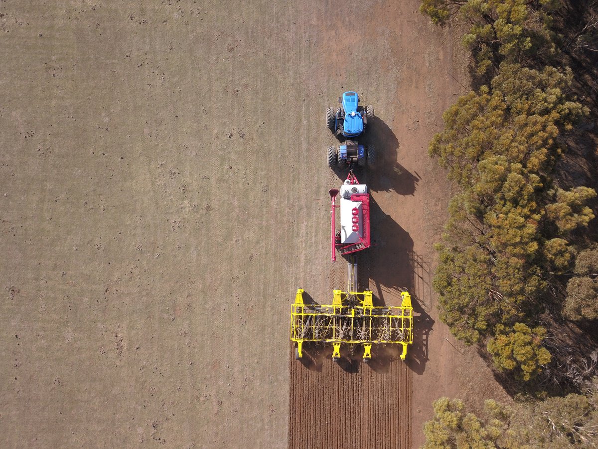 Seed Storm tweet media