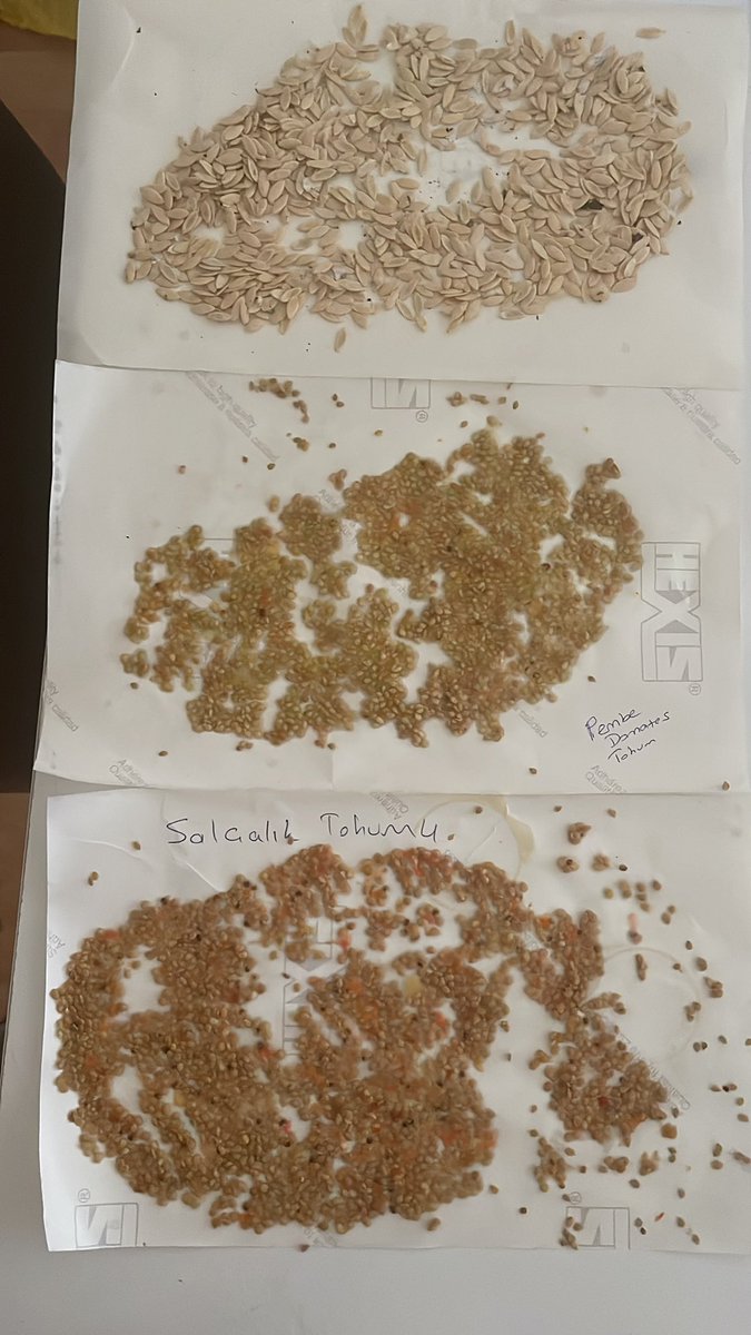 Fatih Çolak tweet media