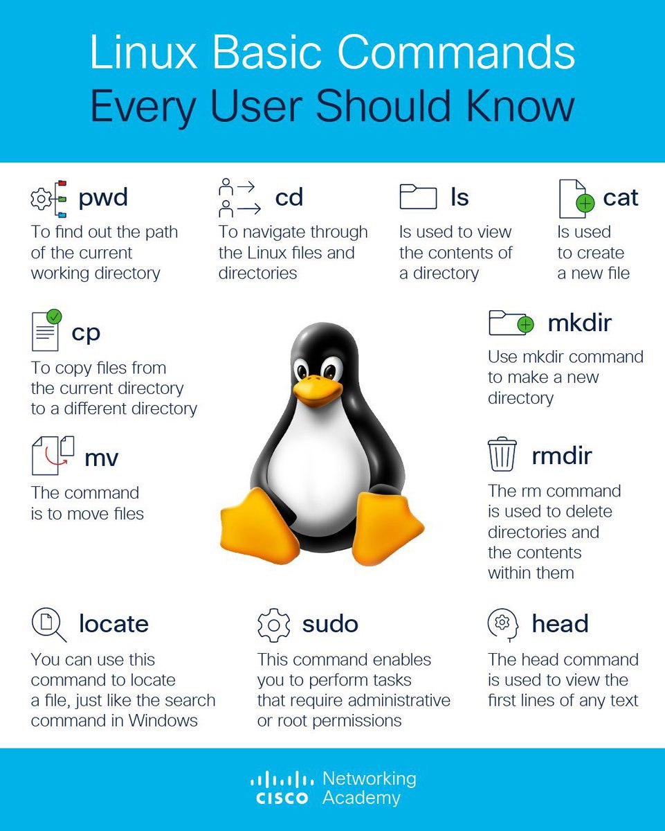 SecurityTrybe's tweet image. Linux Basic Commands Every User Should Know