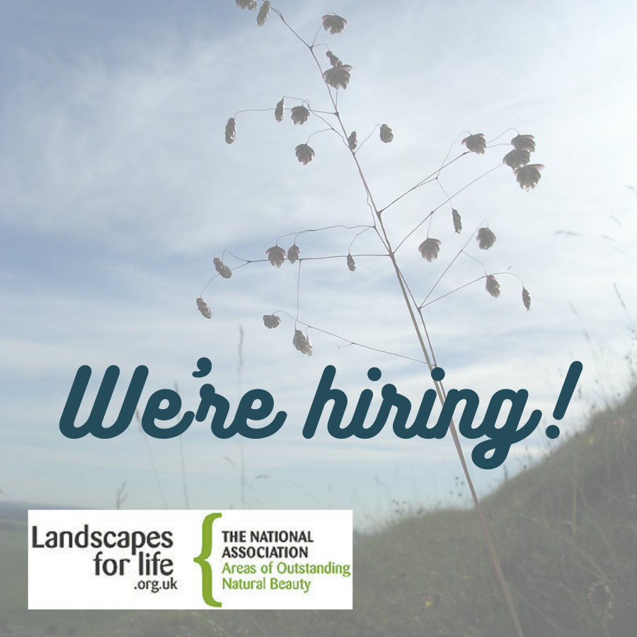 Could you be our Big Chalk Programme Lead? Do you want to be the lynchpin of a project to deliver nature recovery at an unprecedented scale across south England? Find out more: tinyurl.com/339puszc