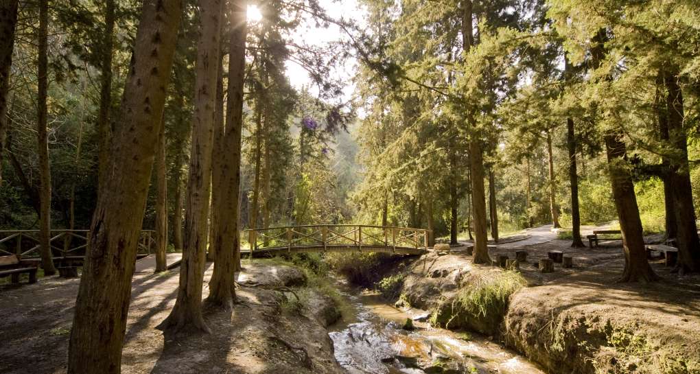 We chose Ramat Menashe as home to Repair's office because it's Israel's first biosphere operating sustainably and respecting the environment.

Next month, you'll have the opportunity to tour it &amp; learn about the future of climate tech in Northern Israel.
 
bit.ly/3PypzIy