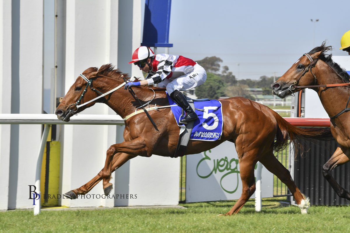 mcsmithracing's tweet image. FRILLED 💨 

Blink and you’ll miss her! 

🥇Kembla Race 1 BM64 1000m

Frilled maintained her unbeaten record (3/3) this afternoon under @KPMcEvoy AND broke the track record running a swift 55.79. 

Congratulations to her owners and connections!🥂

#TeamMCS