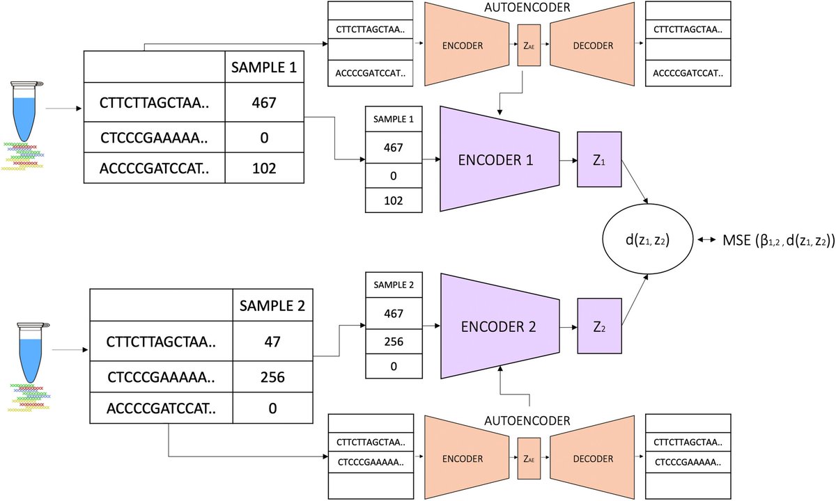 🌊🌿Exciting breakthrough in #biodiversity monitoring using #DeepLearning. 🤖 By combining neural networks, we've unlocked the potential of #eDNA data for better ecological insights. 🌏🔍 Check out how our methods outperform traditional techniques! 📈🌱doi.org/10.1111/1755-0…