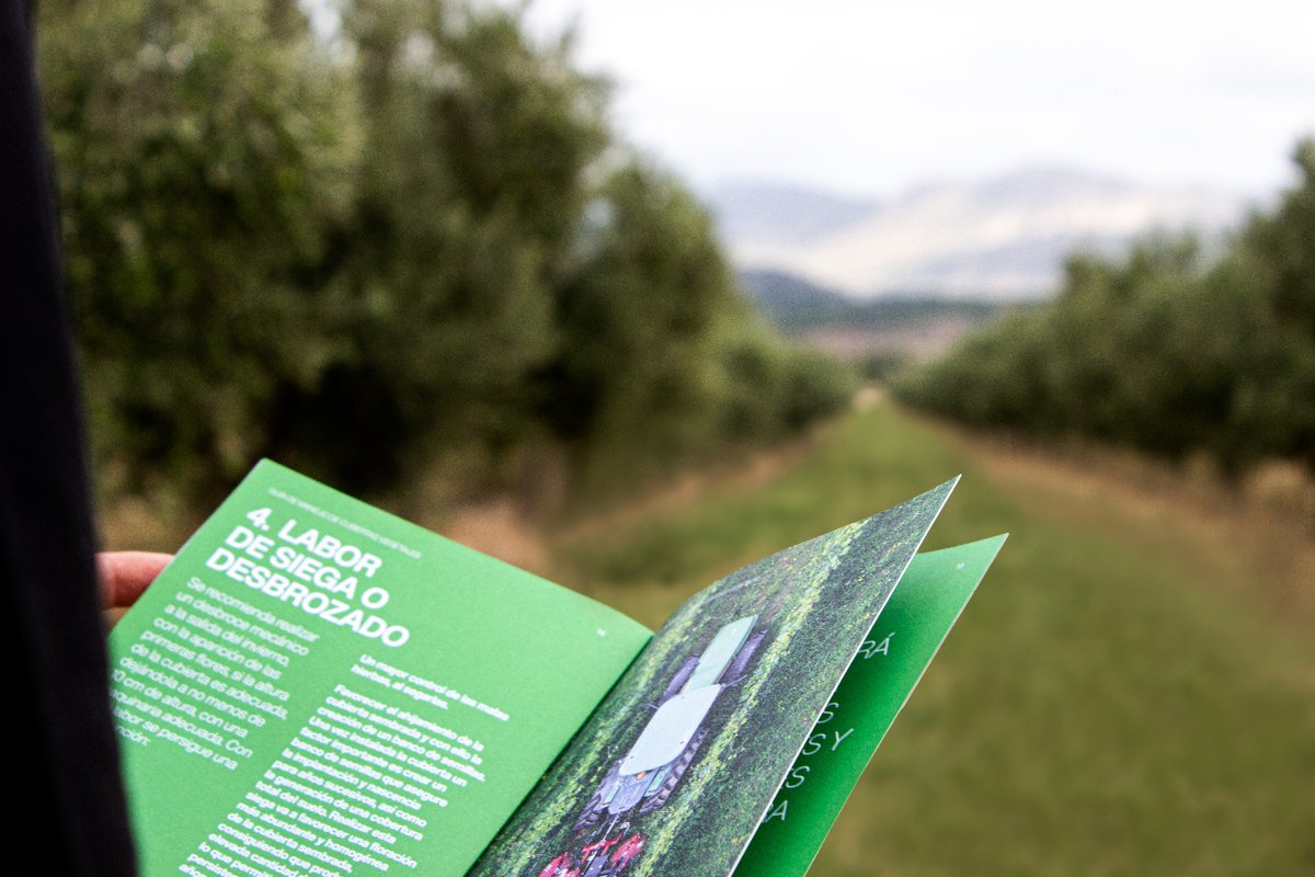 ¿Tienes preguntas o necesitas consejos sobre cómo empezar a implantar las cubiertas vegetales?
En ID David dispones de expertos listos para responder todas tus preguntas. 

Visita nuestra web y contáctanos para obtener asesoramiento especializado➡️ id-david.com/cubiertas/