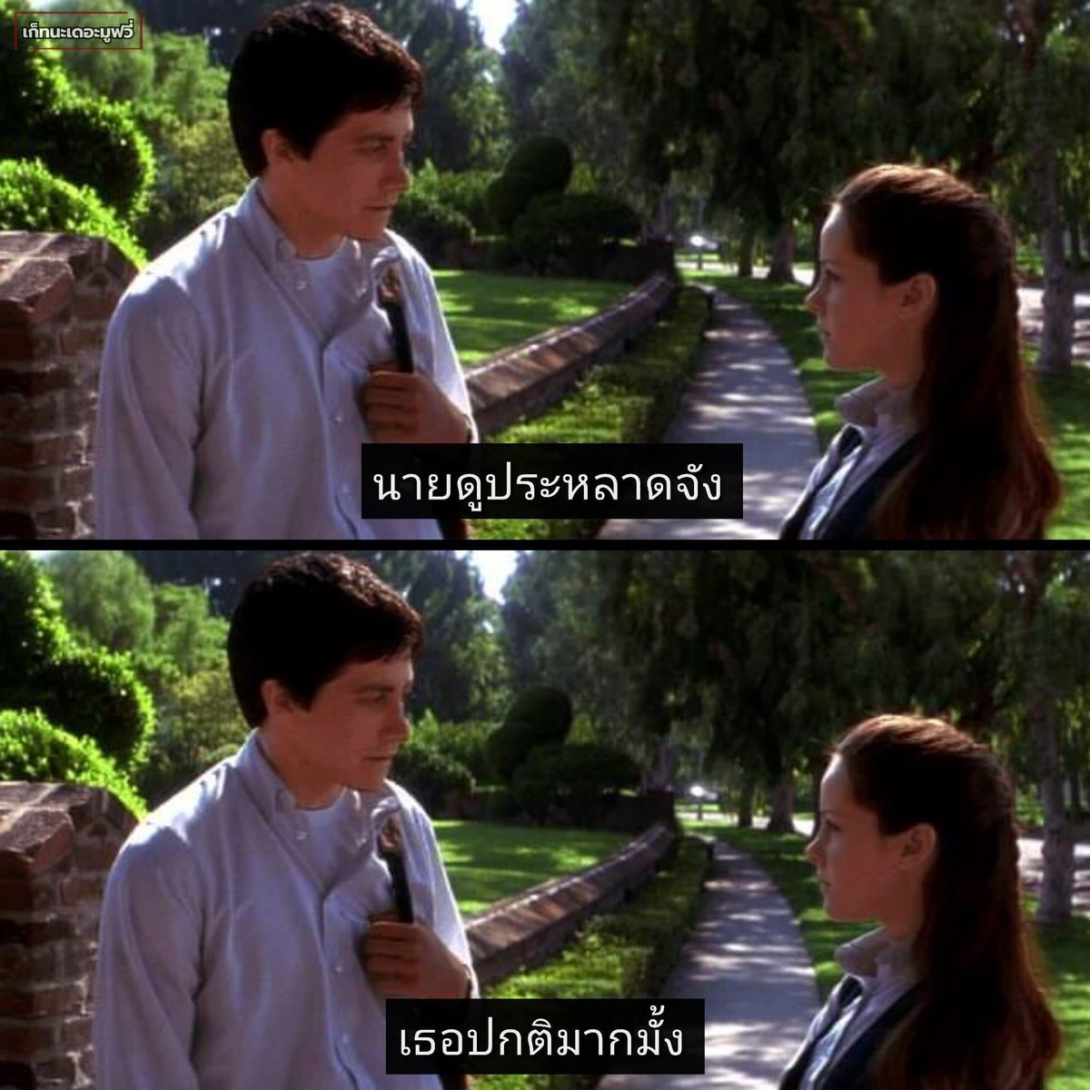 ⠀
⠀
             ⠀ ตระกูลเลนเต้และลูคาปรองดองกันมาอย่างยาวนาน จนกระทั่งบุตรชายคนโตจากตระกูลเลนเต้และบุตรสาวคนเล็กจากตระกูลลูคามาเจอกัน 
⠀
⠀