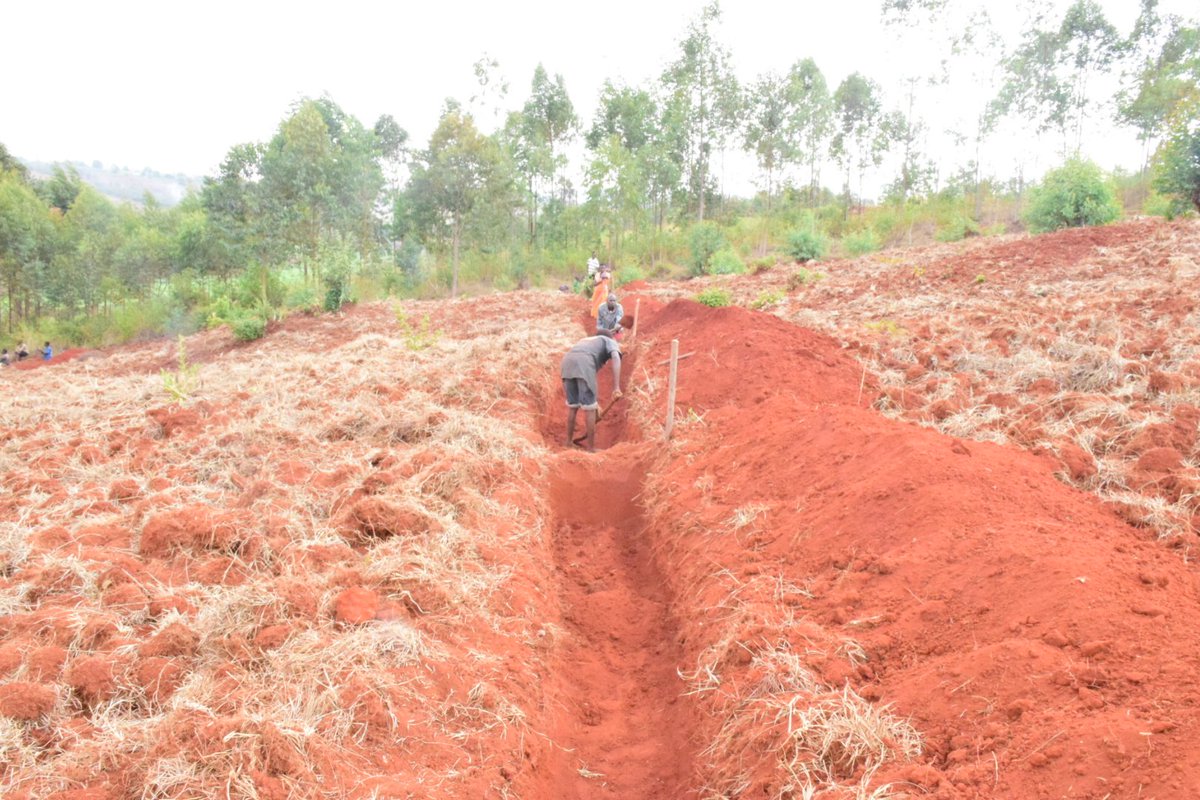 RTNBurundi's tweet photo. #Burundi: Dans le cadre du jeudi dédié à l'environnement, le Ministre de @BMineagrie Sanctus Niragira se joint à la population sur la colline et zone #Gihamagara, commune #Itaba de @Gitega dans les travaux de traçage des courbes de niveau antierosifs https://t.co/oXmCG4qUci