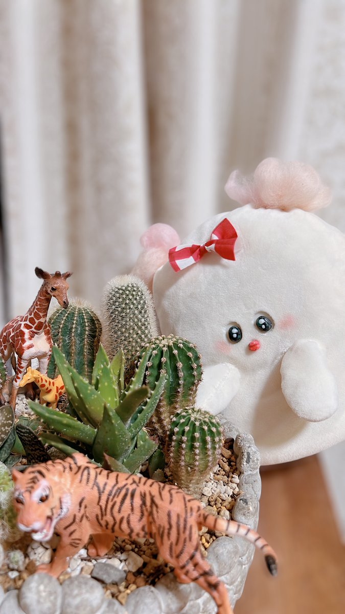 maypicho's tweet photo. みちみちギュウギュウサボテン動物王国の出来上がりなのｬ🌵🌵🌵 https://t.co/lP2v4D7WTu
