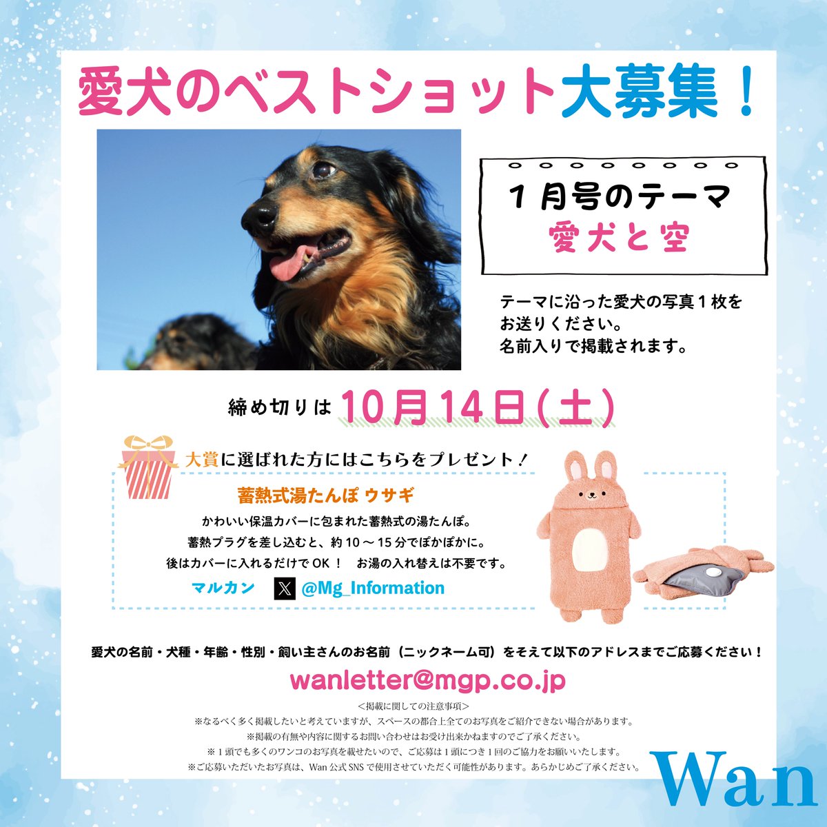 midori_wan's tweet photo. 愛犬雑誌『Wan』1月号の読者投稿は、「愛犬と空」にぴったりなお写真を大募集！　全犬種対象です♪ 編集部の選考の結果大賞に選ばれた方には、マルカン様 @Mg_Information の「蓄熱式湯たんぽ　ウサギ」をプレゼント✨お写真はWan1月号にできるだけ掲載します！ https://t.co/X7AhjkqOvI