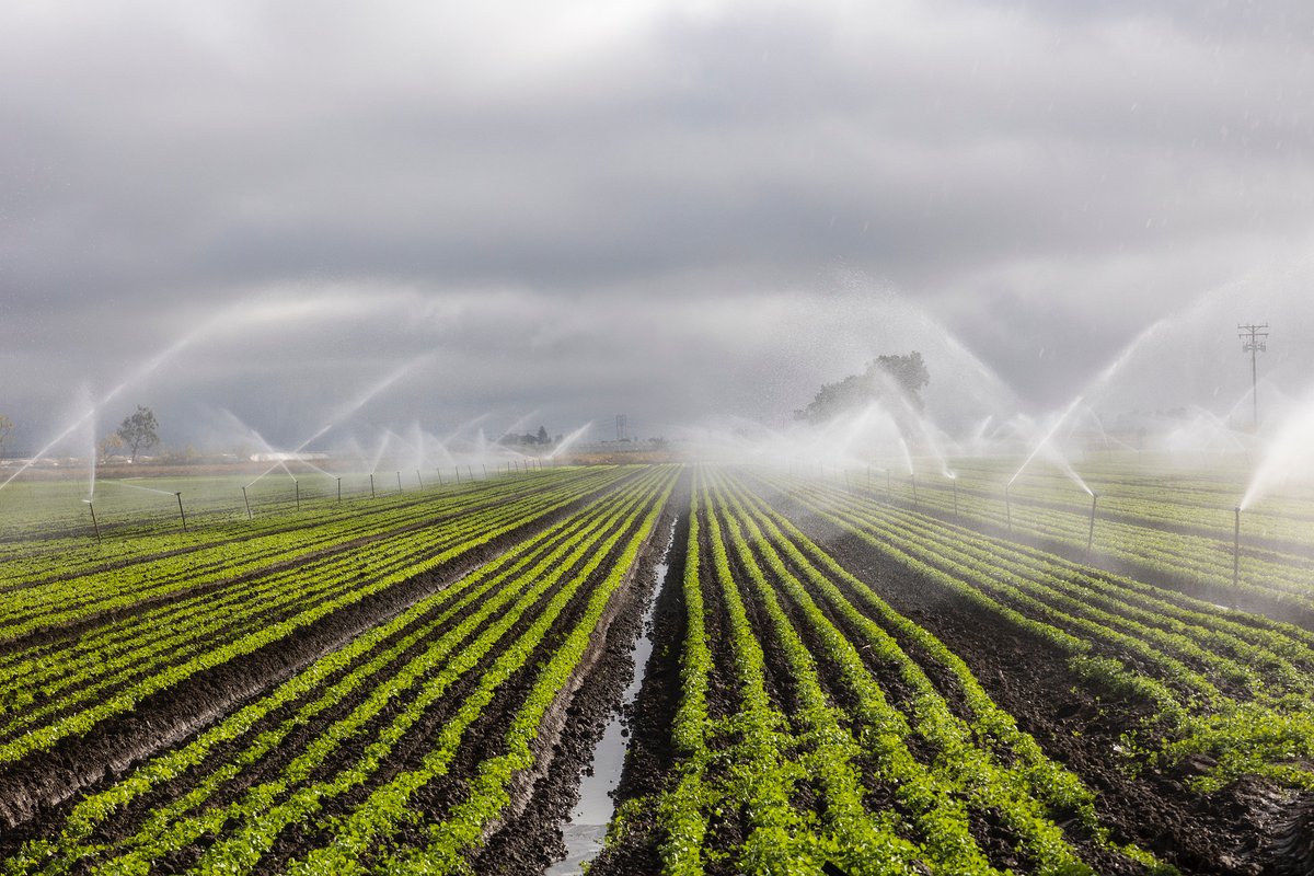 Read how #ConvolutionalDeepNeuralNetworks are helping to optimize water use in agriculture in our journal's most highly accessed article in the last six months: lib.jucs.org/article/80733/ We thank the authors for their relevant work!