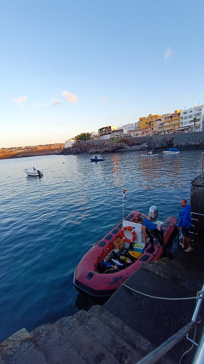 Cambio Global IMEDEA (@cambio2100) on Twitter photo Estamos de campaña <a href="/oceancitizen_eu/">oceancitizen_eu</a> en Tenerife! Evaluando el estado de las sebadales y cogiendo datos de baseline 😁 Estamos de campaña <a href="/oceancitizen_eu/">oceancitizen_eu</a> en Tenerife! Evaluando el estado de las sebadales y cogiendo datos de baseline 😁