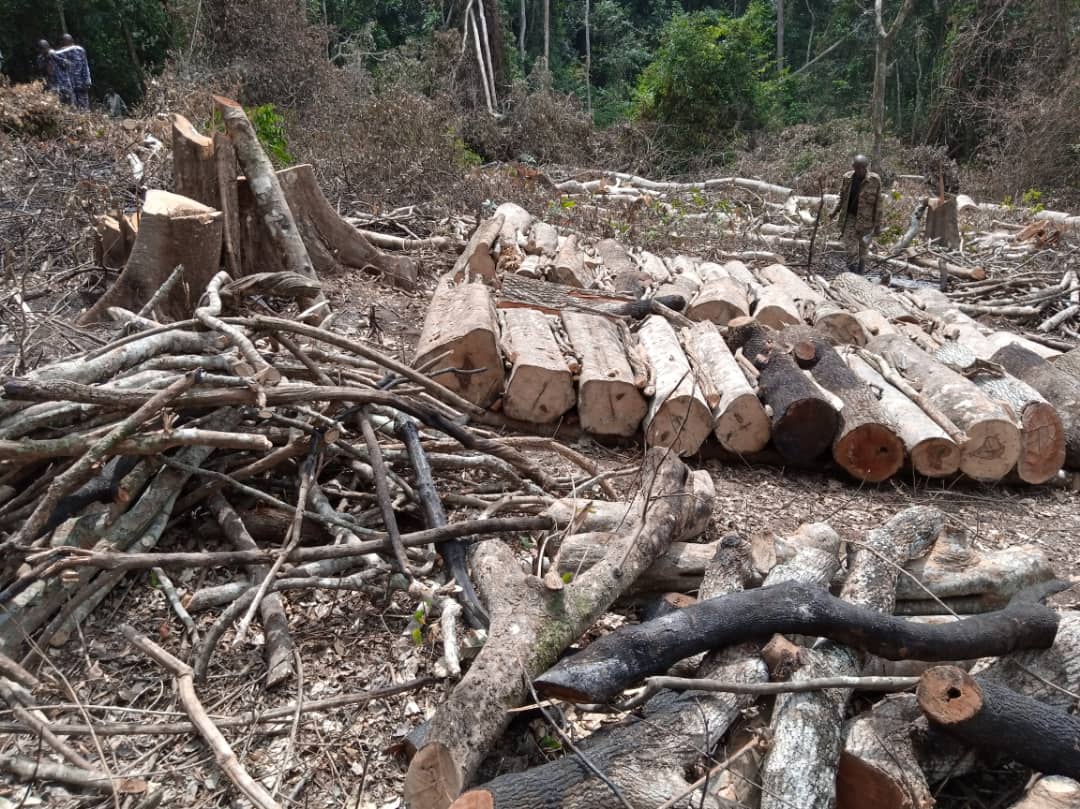 As we celebrate the 🌎 tourism day, @NatureTalk_A calls for good governance and conservation of natural resources such as #Bugomaforest, #MurchisonfallsNP among others in Uganda. #savebugomaforest from agriculture, charcoal burning and lumbering. @nemaug
@NFAUG @GovUganda