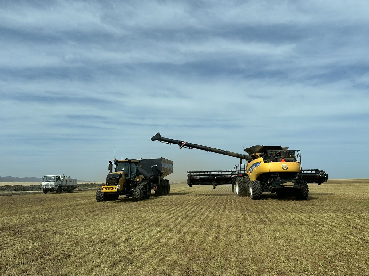 Matt Dennis tweet media