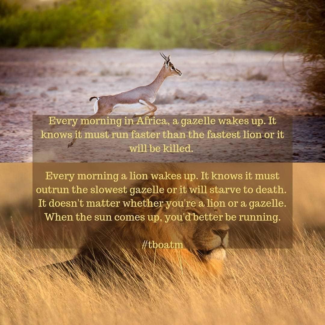 Anthony Grebe (@anthonygrebe) on Twitter photo 