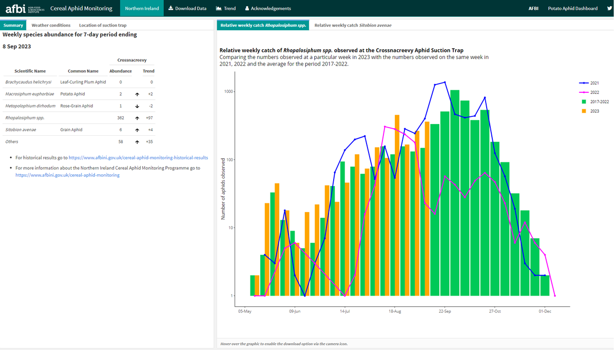 Aphid Monitoring in Northern Ireland tweet media