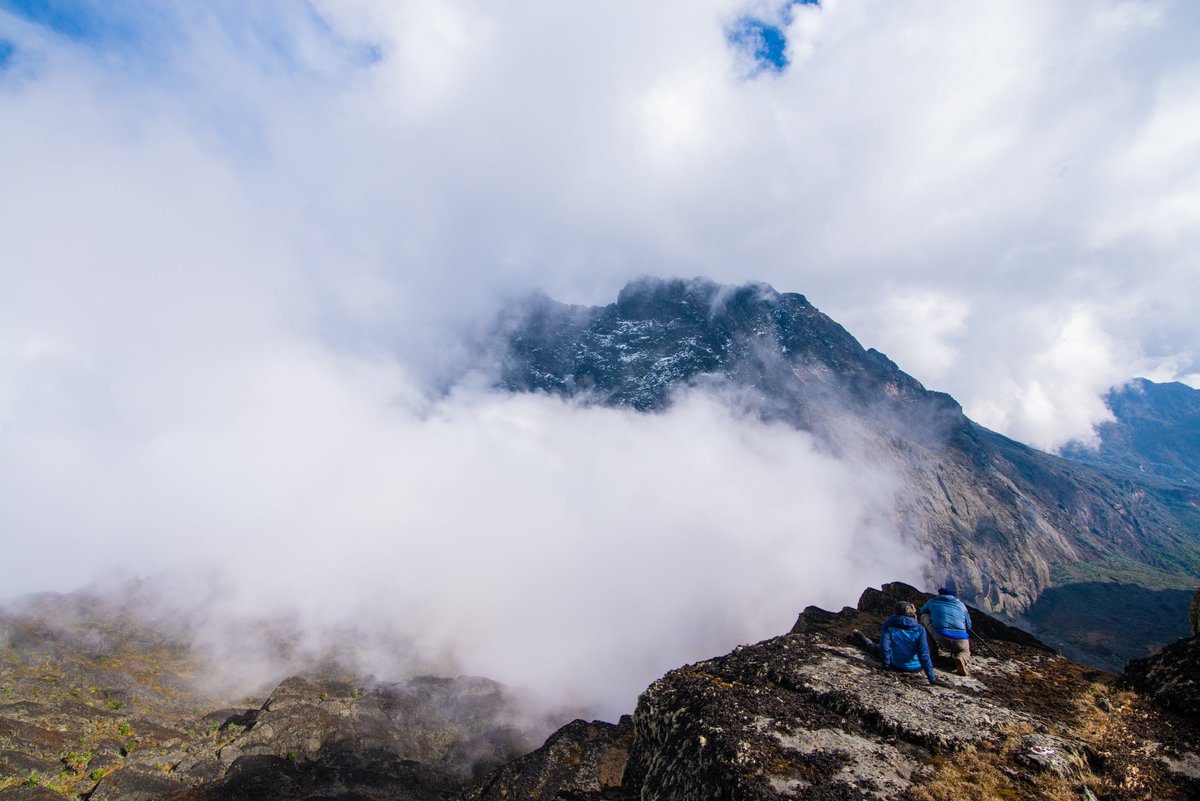 Rwenzori mountain national park found in western Uganda is Africa's third highest, known for their unique alpine flora.

It is famous for mountaineering, trekking, hiking and climbing excursions. 
#exploreuganda
#rwenzorimountain
#visituganda