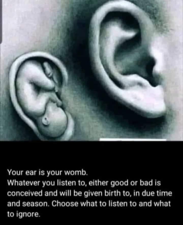 LTouchinglives's tweet photo. Always choose what you listen to, because you'll become exactly that.  We're all the product of what we heard, therefore, choose wisely and listen attentively. https://t.co/K9xti2krOs