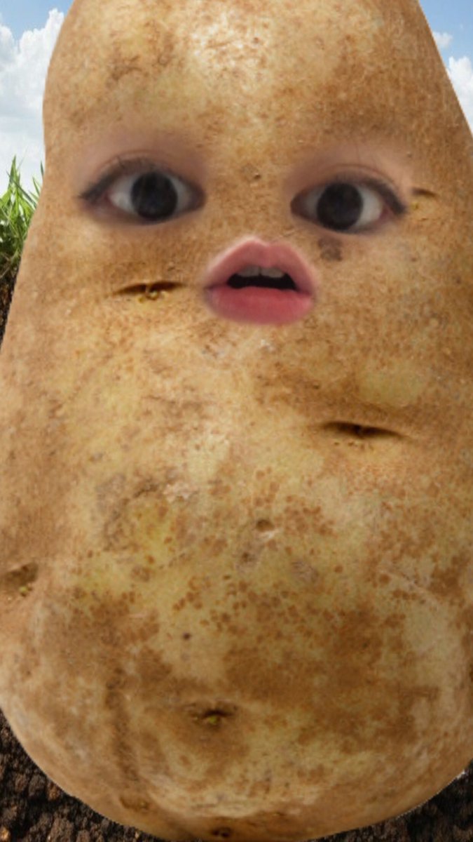 我現在的心情就像削完皮的馬鈴薯
：什麼意思？
馬鈴薯是POTATO 
削完P還剩
oTATo

不過是喜極而泣的那種

#之前看到的冷笑話
#天氣這麼熱降溫一下
#有感受到涼意嗎
#廢文我就爛

好懶 https://t.co/0Rvro7kQ1S