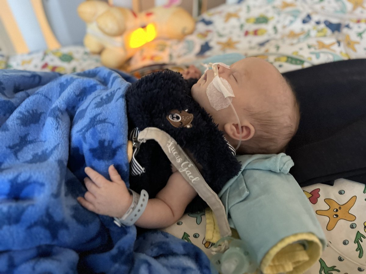 gilkarinac's tweet image. Ayúdenme a llegar a más personas para que mi hijo reciba su tratamiento, tiene una rara enfermedad genética llamada SCID! Mi bebé de 2 meses necesita un transplante de Médula

 #DespiertaConCHV

Iniciamos una campaña de donación en gofund.me/821491e5 🙏🏻🙌🏻