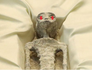 Iggy on Investing tweet media