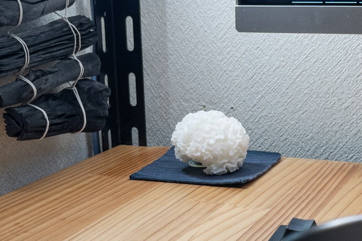 脳の3Dプリントを頂いたので、自撮りしています。