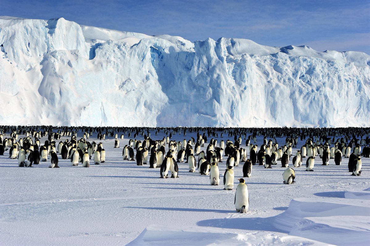 New research shows low #Antarctic sea ice may be the new normal. @ariaanpurich & @edoddridge suggest in @NatRevEarthEnv that ocean warming has played a role in pushing sea ice into a new low-extent state. @Ant_Partnership @MonashUni @UTAS_ 📷 AAD arcsaef.com/story/failure-…