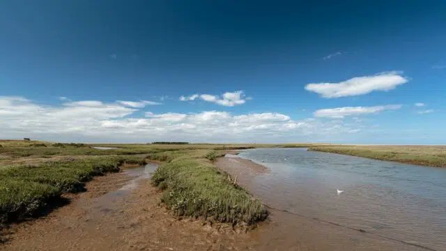 Sounding Wells - Hear the whole picture. tweet media