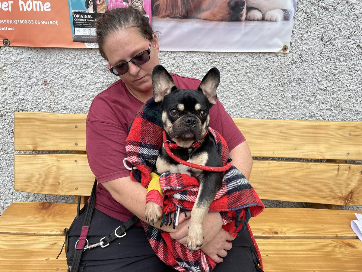 Please retweet to HELP FIND THE OWNER OR INFORMATION ABOUT THIS FRENCH BULLDOG FOUND #MOUNTAINASH #WALES Sat 9 Sept Found at the side of the road with a broken leg, he could be missing or stolen from another area. Please contact @HopeRescue ☎️01443226659 if you have any…