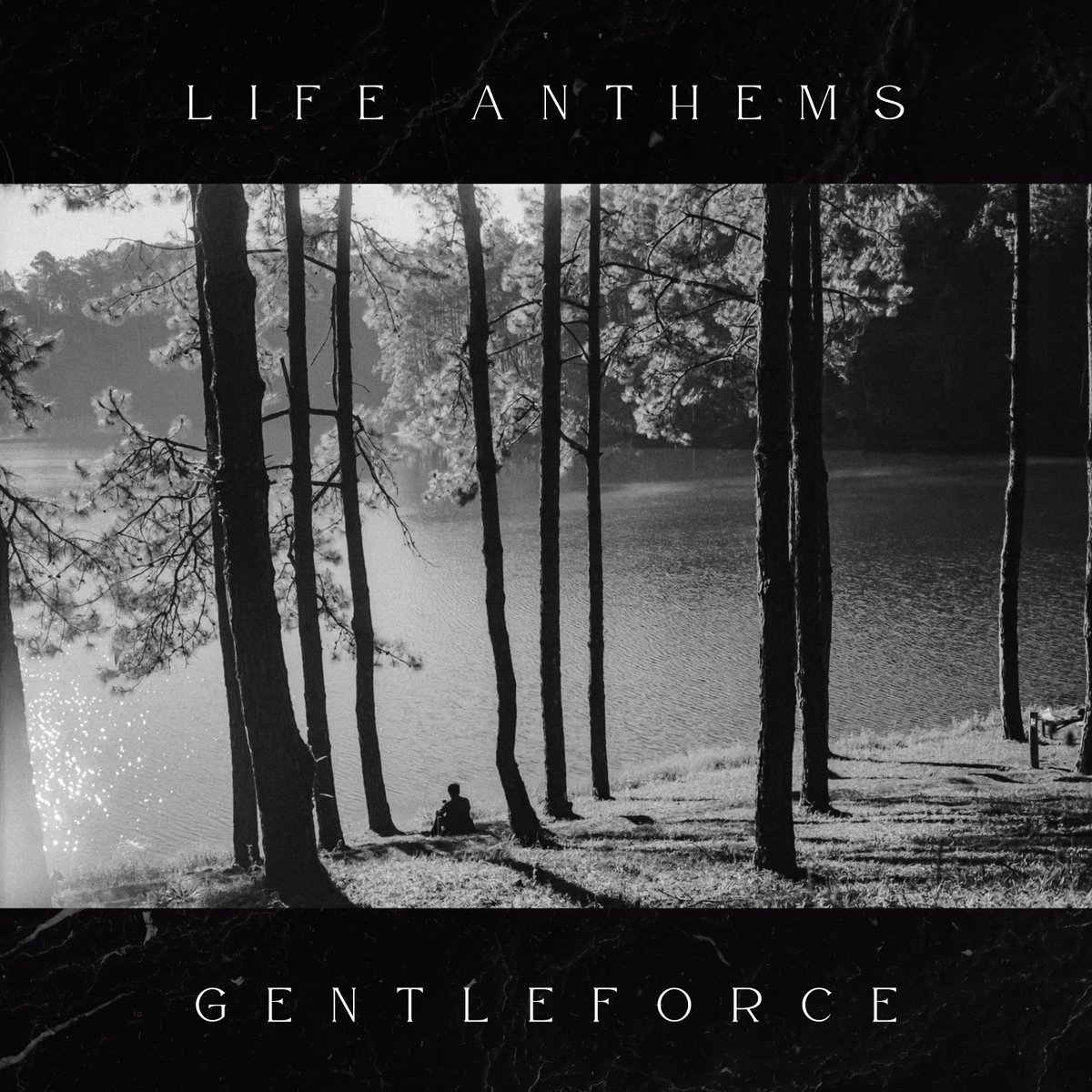 Gentleforce - Life Anthems 🌄 Out Now Gentleforce creates positive, healing sound environments, fusing field recordings, meditative synth music, and decades of experience as a club DJ with a love of traditional ceremonial music from around the world. oxtailrecordings.bandcamp.com/album/life-ant…