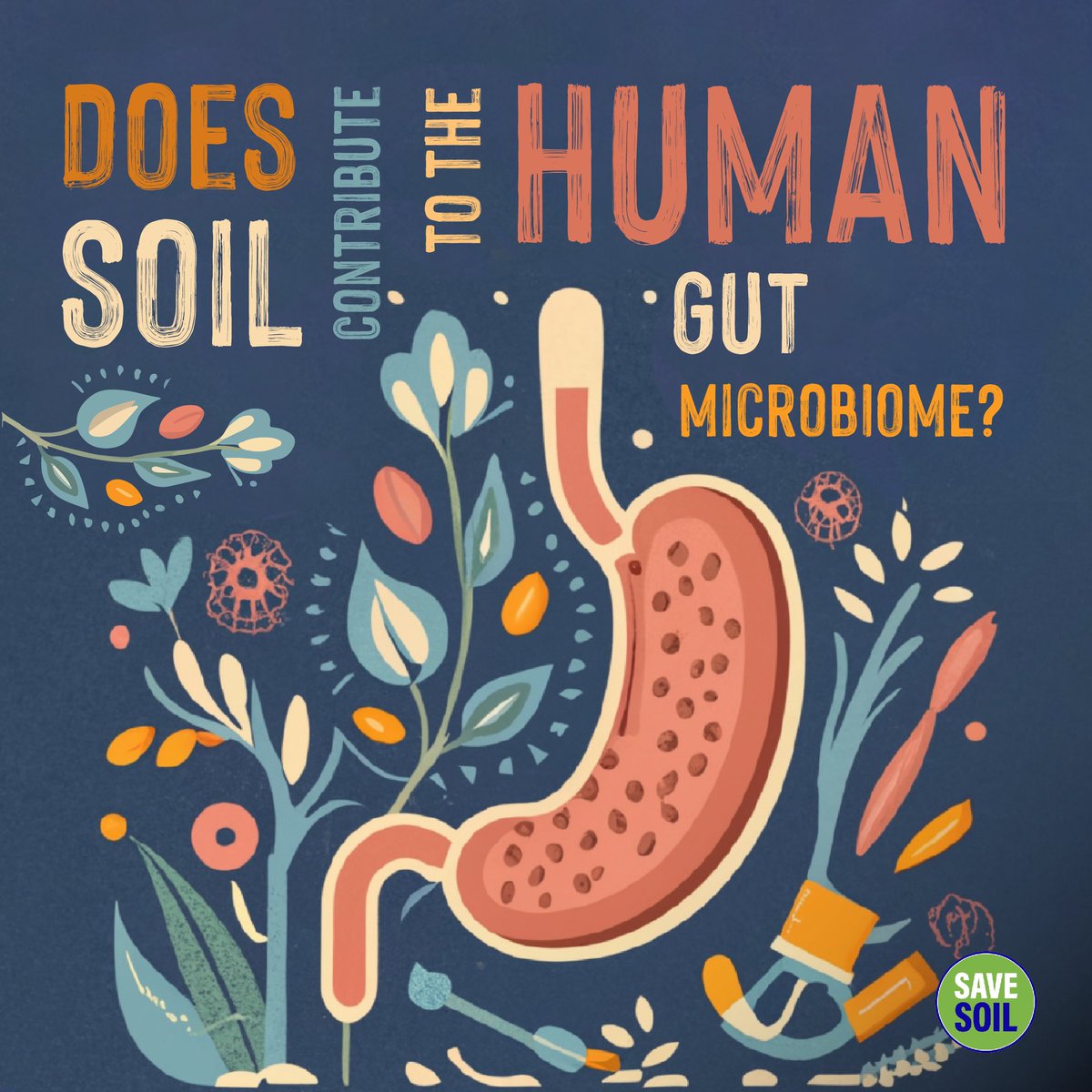 cpsavesoil's tweet photo. Did you know that the soil and the human gut contain approximately the same number of active microorganisms? Human and soil microbiomes are ‘superorganisms’ which, by close contact, replenish each other with inoculants, genes and growth-sustaining molecules. By taking care of the soil, we are literally taking care of our own bodies. #SaveSoil 

Action now: https://t.co/uVnQCIZ3pr