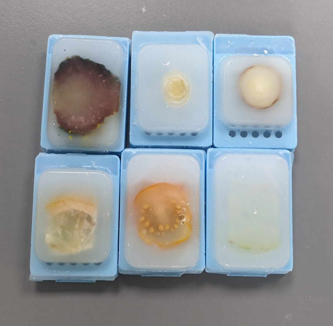 claire_paedpath's tweet photo. A sneak peak at my talk for next week for the @CCLG_UK #CCAM on #childhoodcancer. I'll be talking about what a pathologist does and what happens in a laboratory. 

Can you guess what fruit and vegetables I've used to demonstrate the laboratory process? 

#PathTwitter #pedipath https://t.co/U2VlJ2Q6uV
