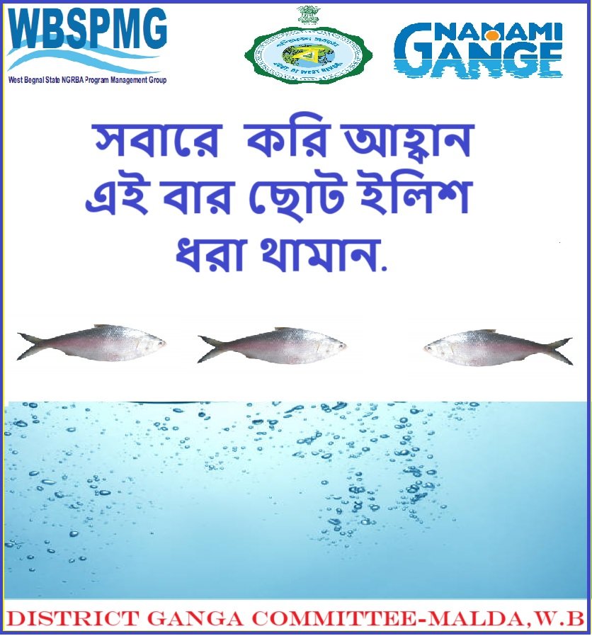 #Savehilsa
Stop small hilsa fishing..🙏🙏
<a href="/cleanganganmcg/">Namami Gange</a> <a href="/ForestDeptWB/">West Bengal Forest Department</a> <a href="/MoJSDoWRRDGR/">Not Ministry of Jalshakti Anymore</a> <a href="/WBSPMGOfficial/">State Mission for Clean Ganga West Bengal (SMCGWB)</a> <a href="/district_malda/">Malda District Official</a> <a href="/GowbPhe/">PHE DEPARTMENT, GoWB</a>