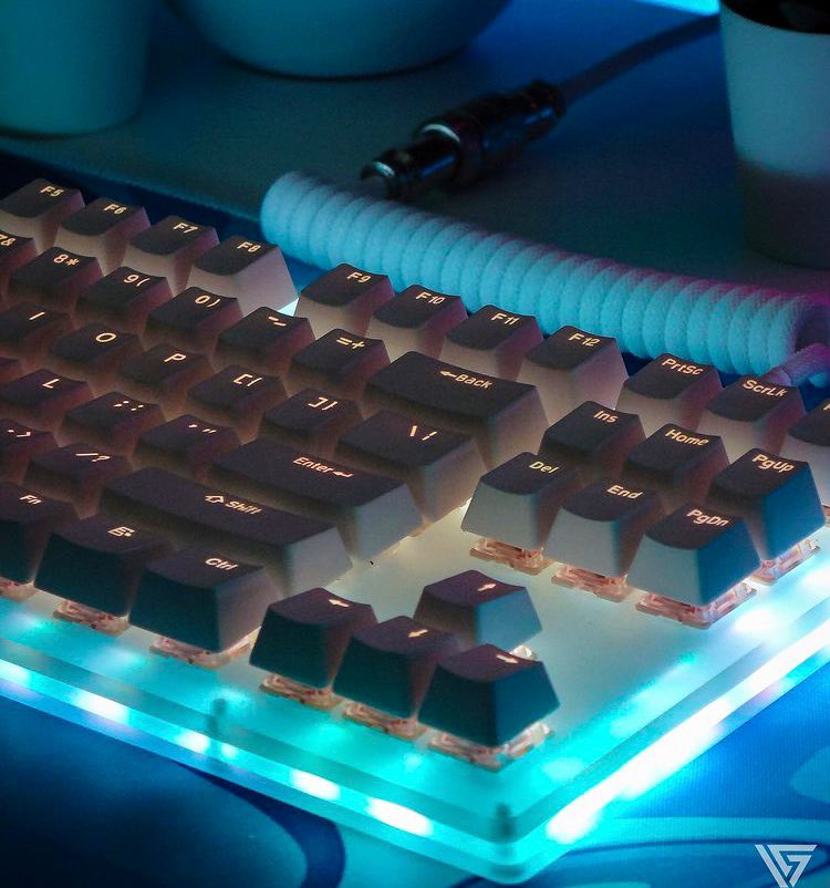 What a great shot 😍
Snow White under White Techflex was the perfect choice for this cool keeb!