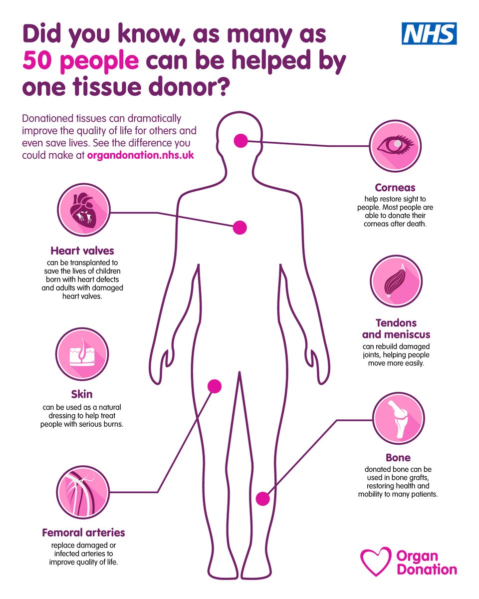 ❓: How many people can a single tissue donor help?

🙋: The answer is 50!!

Tissue donation helps to repair and rebuild the bodies and lives of severely injured people.

Find out what you can donate ➡️ orlo.uk/ayaLz