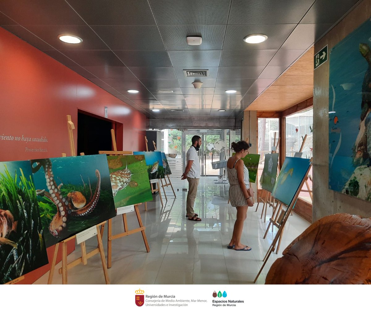 ElVallePR's tweet image. Si alguna vez te encuentras paseando por #ElVallePR y quieres hacer algo diferente, te invitamos a visitar el área de educación ambiental del #CRFS. Podrás descubrir la historia del quebrantahuesos o disfrutar de la expo. de fotografías &apos;Posidonia oceanica. Praderas de vida&apos; 📸🌱