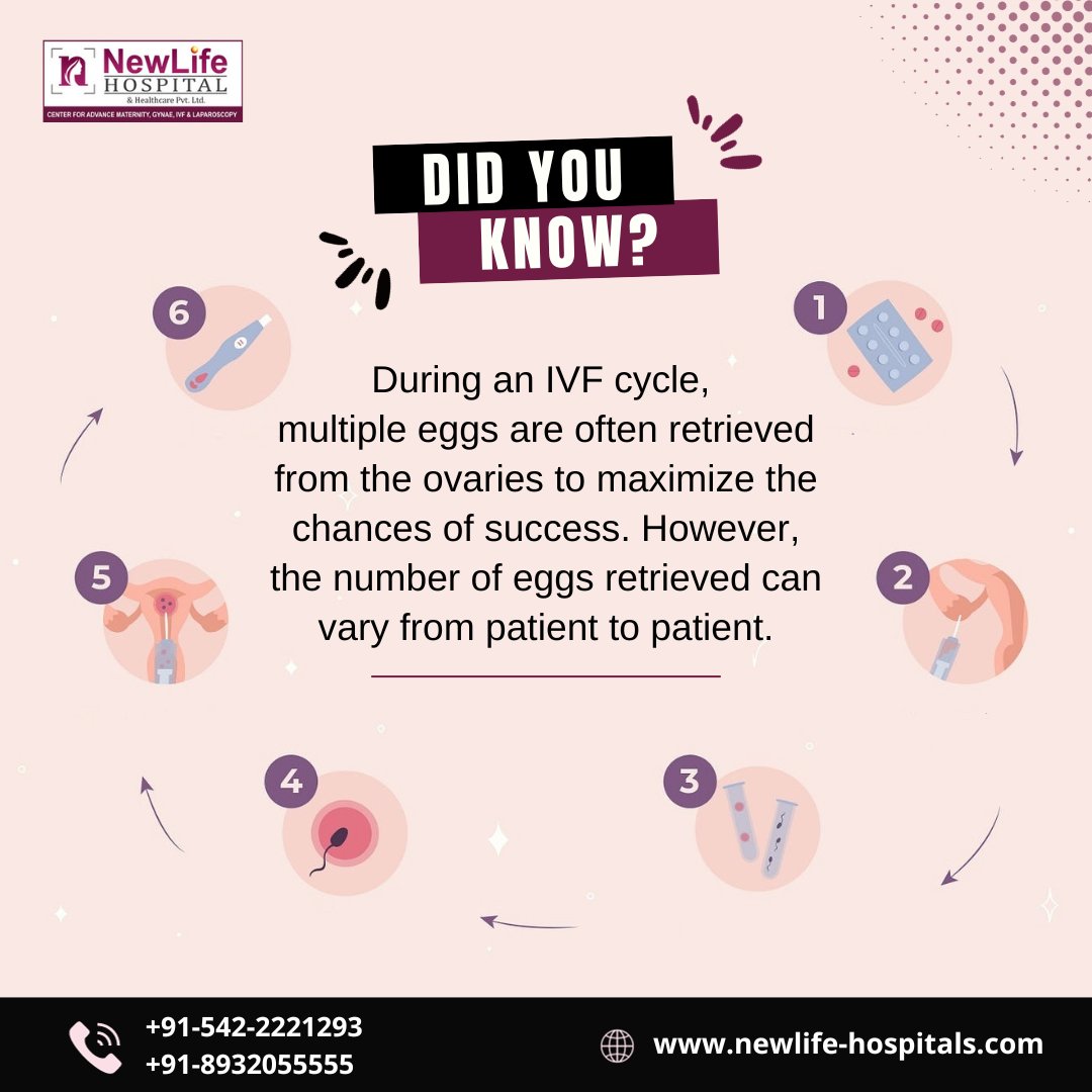 Did You Know?

𝐕𝐢𝐬𝐢𝐭:- newlife-hospitals.com

#ivfcycle #pregnancy #ivfbaby #ivf #ivfhospital #ivfjourney #ivfsuccess #newlifehospitalvaranasi