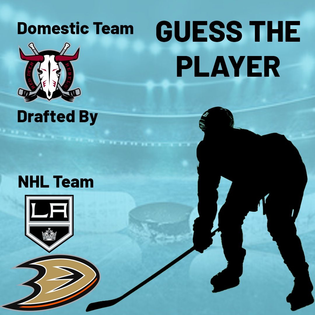 Can you guess the player? #worldhockeymanager #guesstheplayer