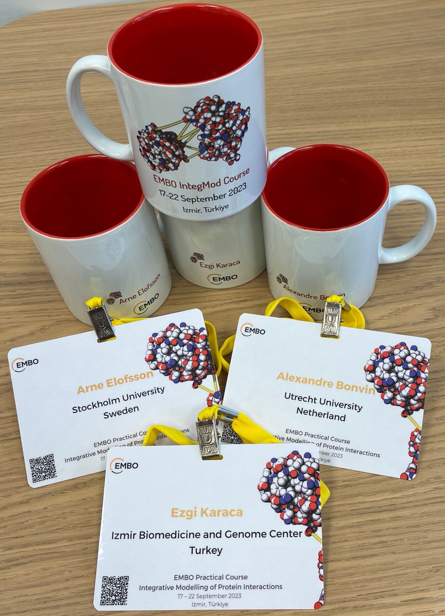 Getting ready for #EMBOIntegModelling23 in Izmir, IBG! 🌅⛱️ <a href="/arneelof/">Arne Elofsson @arneelof.bsky.social</a> <a href="/amjjbonvin/">Alexandre Bonvin - also on Bluesky</a> <a href="/Ezgi_Karaca_/">Ezgi Karaca</a> 💜

Can't wait to meet all speakers and participants in person! <a href="/EMBO/">EMBO</a> <a href="/EMBO_YIP/">EMBO YIP</a> <a href="/EMBOevents/">EMBO Events</a> 

To have a live feed from the course, follow our social media coordinator! <a href="/beyzakaynarca_/">Beyza Kaynarca</a>