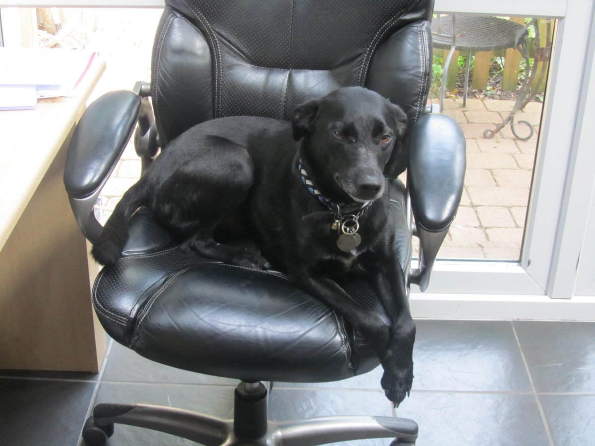 MerlinnotDesmo's tweet image. This was many, many, many years ago when huparents would go on holiday without me so I stayed with some friends. 

As you can see, I bossed it 😉

#ThrowbackThursday