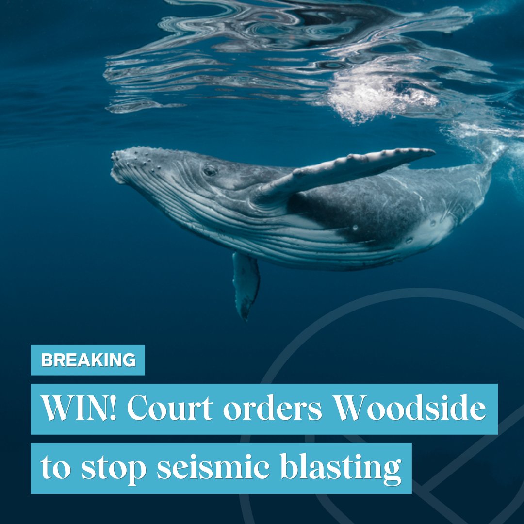 ShellLilacS's tweet photo. Win! Court orders Woodside to stop seismic blasting https://t.co/AKjPMWTnlW