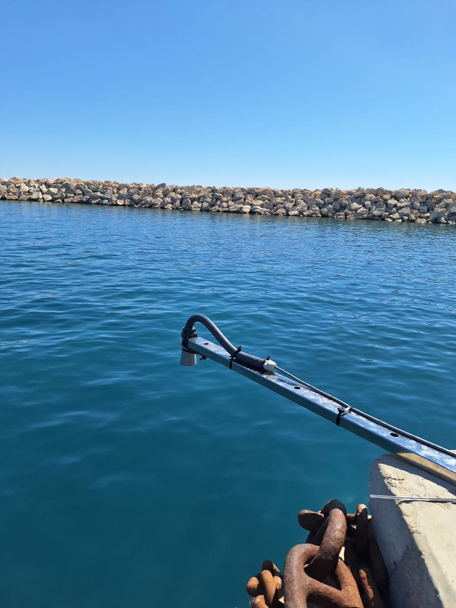 Sylvana Pilidou tweet media