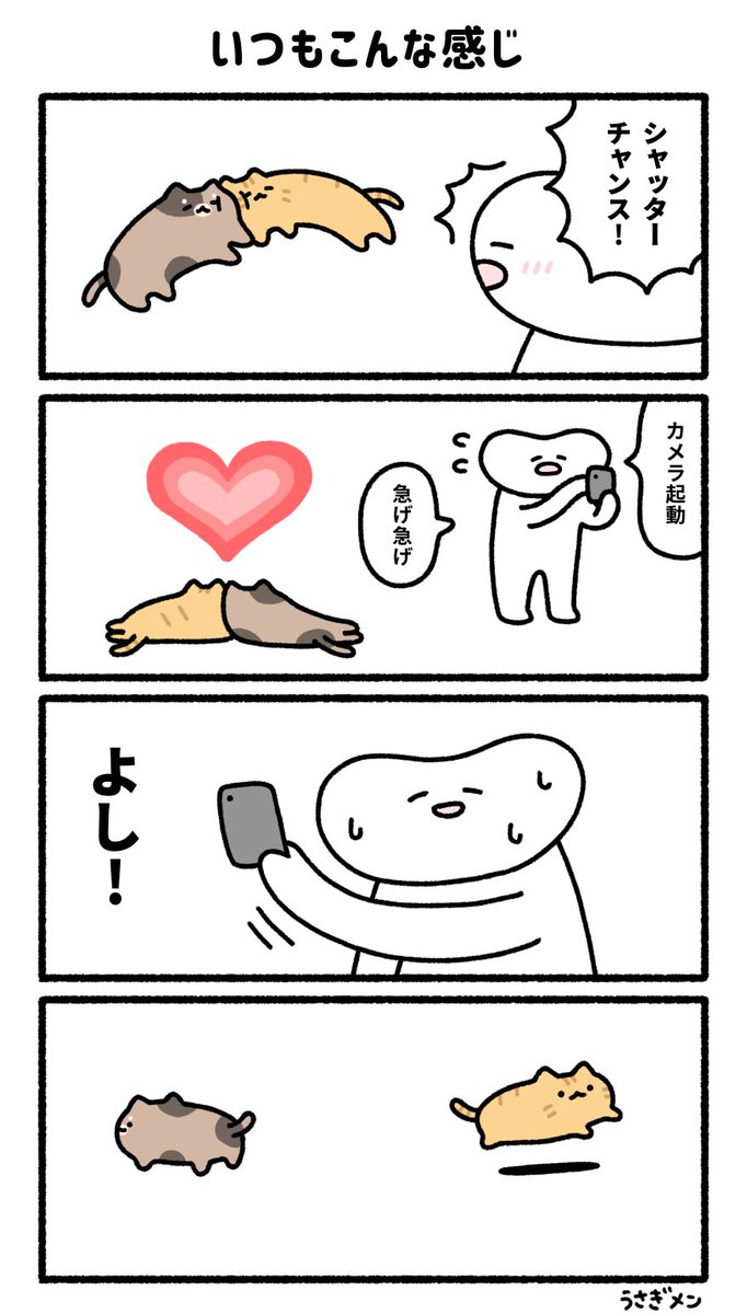 USGMEN's tweet photo. いつもこんな感じ https://t.co/0RmZsN148p